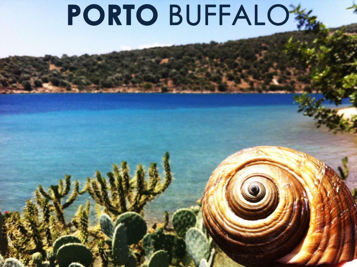 Sea Front Studio - Porto Boufalo - Evia Luaran gambar